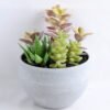 Artificial succulent 11*14CM Succulent in minami pot GS-30319076