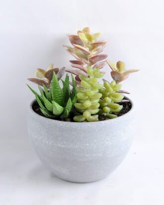 Artificial succulent 11*14CM Succulent in minami pot GS-30319076