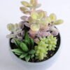 Artificial succulent 11*14CM Succulent in minami pot GS-30319076
