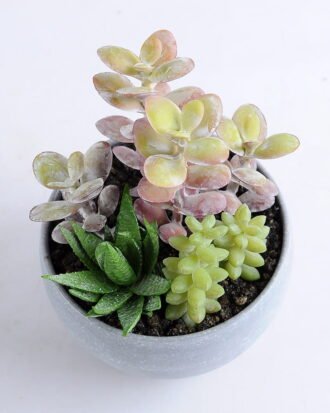 Artificial succulent 11*14CM Succulent in minami pot GS-30319076