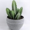 Artificial succulent 9*17CM Succulent in minami pot GS-30319080