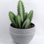 Artificial succulent 9*17CM Succulent in minami pot GS-30319080