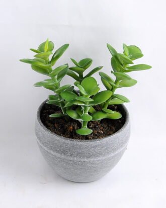 Artificial succulent 9*13.5CM Succulent in minami pot GS-30319081