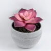 Artificial succulent 8*9CM Succulent in minami pot GS-30319083-Z1
