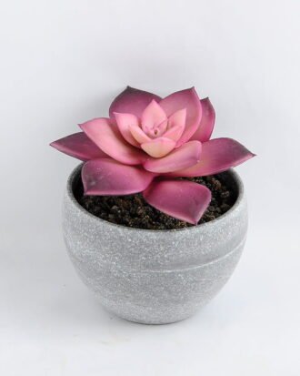 Artificial succulent 8*9CM Succulent in minami pot GS-30319083-Z1 Potted Flowers&Plants YeahFlower is one of Chinese leading OEM manufacturers and exporters , supplying the silk flowers, wholesale artificial trees Artificial succulent 8*9CM Succulent in minami pot GS-30319083-Z1