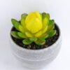 Artificial succulent 8*8CM Succulent in minami pot GS-30319084