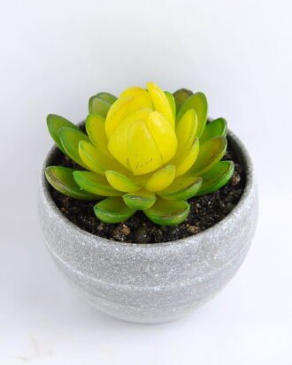 Artificial succulent 8*8CM Succulent in minami pot GS-30319084