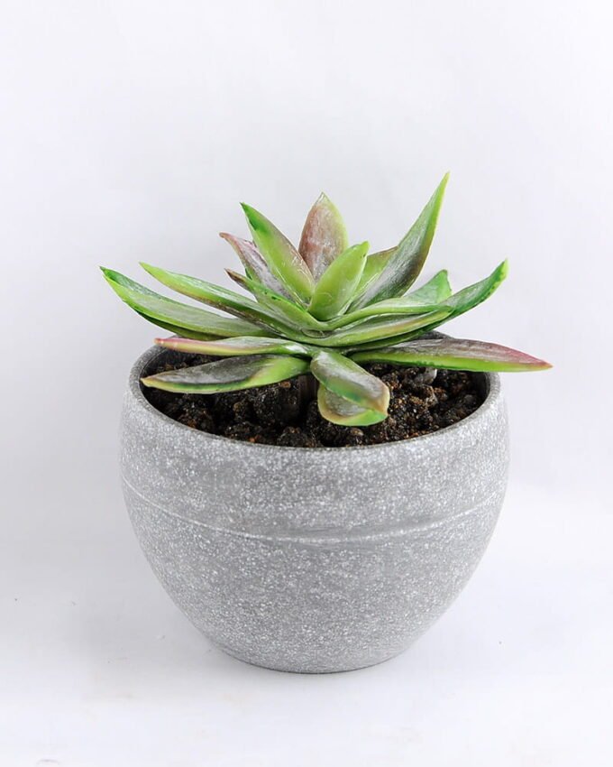 Artificial succulent 8*9CM Succulent in minami pot GS-30319085