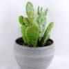 Artificial succulent 8*14CM Succulent in minami pot GS-30319086