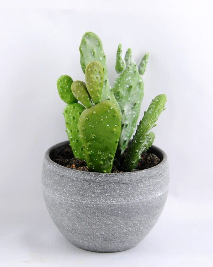 Artificial succulent 8*14CM Succulent in minami pot GS-30319086