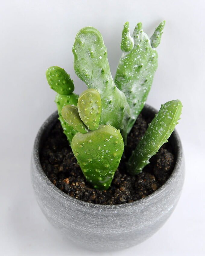 Artificial succulent 8*14CM Succulent in minami pot GS-30319086