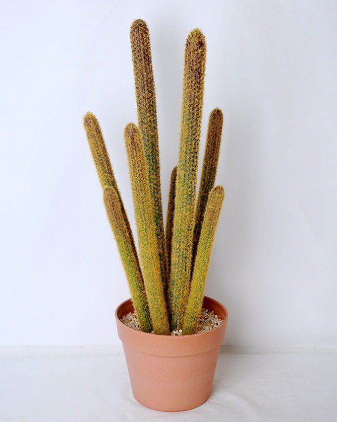 Artificial succulent 20*19*59cm Succulent in plastic pot GS-45219087