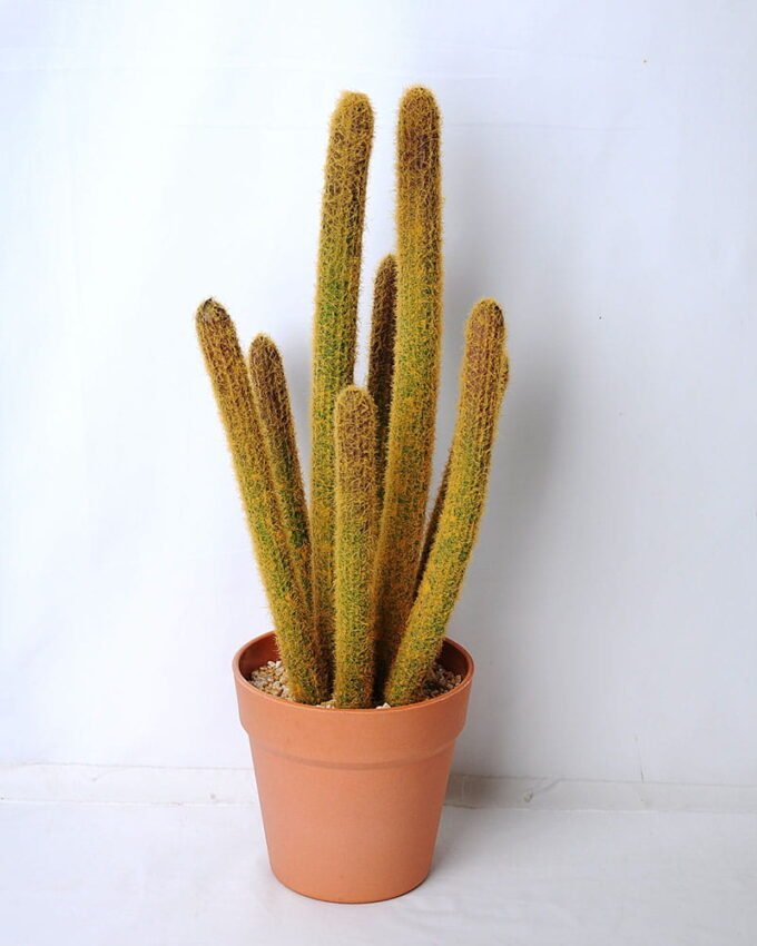 Artificial succulent 17*18*47cm Succulent in plastic pot GS-45219088