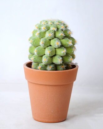 Artificial succulent 8*8*14CM Succulent in plastic pot GS-45219108 Succulent YeahFlower is one of Chinese leading OEM manufacturers and exporters , supplying the silk flowers, wholesale artificial trees Artificial succulent 8*8*14CM Succulent in plastic pot GS-45219108