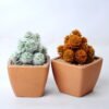 Artificial succulent 5.5*5.5*8.5CM Succulent in plastic pot GS-45219118