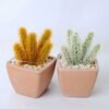 Artificial succulent 5.5*5.5*9CM Succulent in plastic pot GS-45219119