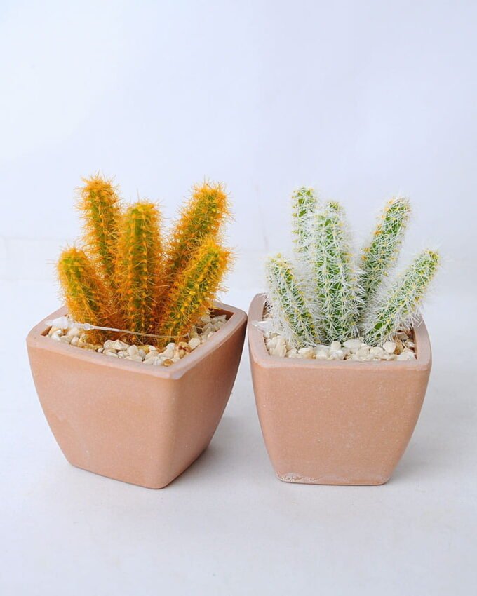 Artificial succulent 5.5*5.5*9CM Succulent in plastic pot GS-45219119