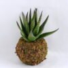 Artificial succulent 10*11*17CM Succulent on ball GS-30319021