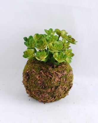 Artificial succulent 9*9*11CM Succulent on ball GS-30319022