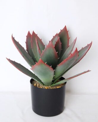 Artificial succulent 27*36*39cm aloe vera in plastic pot GS-45219021 Succulent YeahFlower is one of Chinese leading OEM manufacturers and exporters , supplying the silk flowers, wholesale artificial trees Artificial succulent 27*36*39cm aloe vera in plastic pot GS-45219021