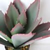 Artificial succulent 27*36*39cm aloe vera in plastic pot GS-45219021 2 Artificial succulent 27*36*39cm aloe vera in plastic pot GS-45219021