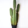 Artificial succulent 39*30*116cm cactus in plactic pot(M) GS-45219051 1 Artificial succulent 39*30*116cm cactus in plactic pot(M) GS-45219051