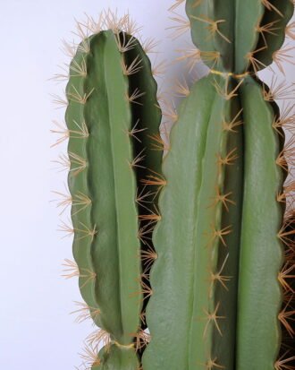 Artificial succulent 39*30*116cm cactus in plactic pot(M) GS-45219051