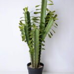 Artificial succulent 41*36*96cm cactus in plastic pot GS-45219060