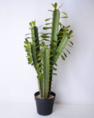Artificial succulent 41*36*96cm cactus in plastic pot GS-45219060 Succulent YeahFlower is one of Chinese leading OEM manufacturers and exporters , supplying the silk flowers, wholesale artificial trees Artificial succulent 41*36*96cm cactus in plastic pot GS-45219060