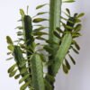 Artificial succulent 41*36*96cm cactus in plastic pot GS-45219060