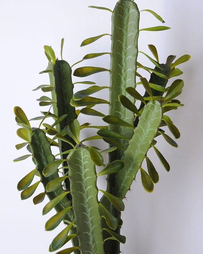 Artificial succulent 41*36*96cm cactus in plastic pot GS-45219060