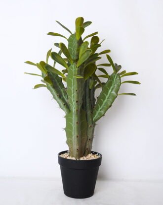Artificial succulent 31*26*48cm cactus in plastic pot GS-45219063