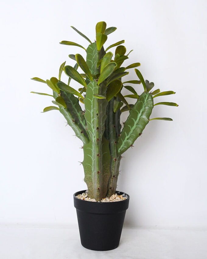 Artificial succulent 31*26*48cm cactus in plastic pot GS-45219063