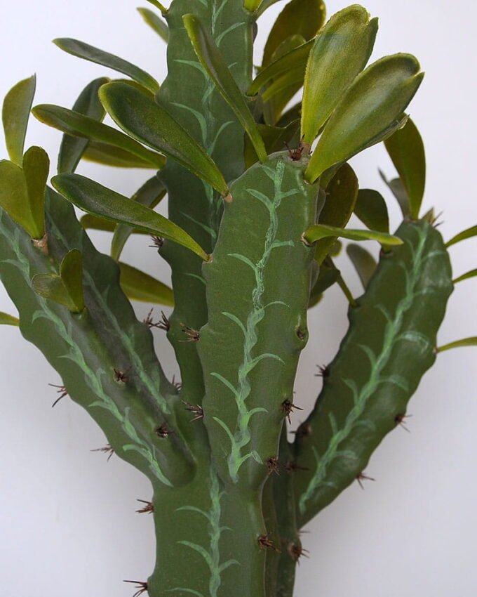 Artificial succulent 31*26*48cm cactus in plastic pot GS-45219063