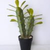 Artificial succulent 22*14*32cm cactus in plastic pot GS-45219064 1 Artificial succulent 22*14*32cm cactus in plastic pot GS-45219064