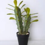 Artificial succulent 22*14*32cm cactus in plastic pot GS-45219064