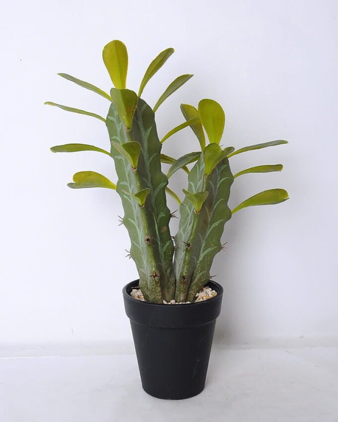 Artificial succulent 22*14*32cm cactus in plastic pot GS-45219064 1 Artificial succulent 22*14*32cm cactus in plastic pot GS-45219064