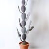 Artificial succulent 38*12*127cm cactus in plastic pot GS-45219071 1 Artificial succulent 38*12*127cm cactus in plastic pot GS-45219071