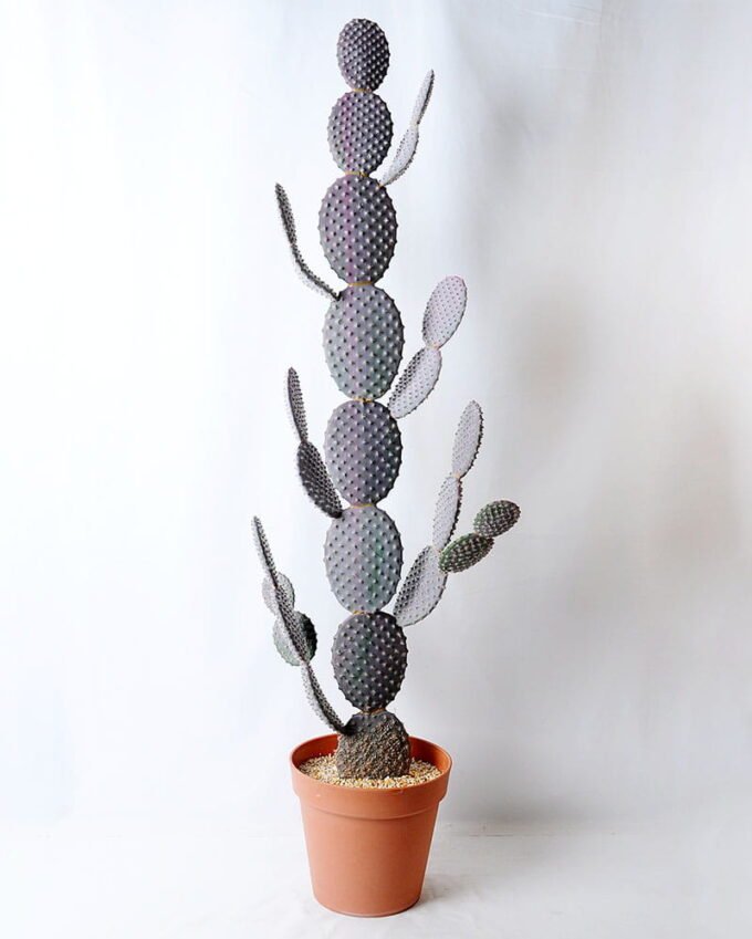 Artificial succulent 38*12*127cm cactus in plastic pot GS-45219071 1 Artificial succulent 38*12*127cm cactus in plastic pot GS-45219071