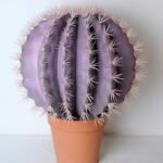 Artificial succulent 58*58*72cm cactus in plastic pot GS-45219089