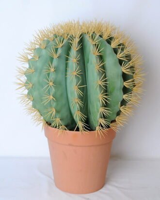 Artificial succulent 47*47*62cm cactus in plastic pot GS-45219090