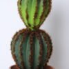 Artificial succulent 9.5*9.5*27cm cactus in plastic pot GS-45219097