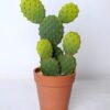 Artificial succulent 13*13*26 Artificial succulent 13*13*26.5cm cactus in plastic pot GS-45219098