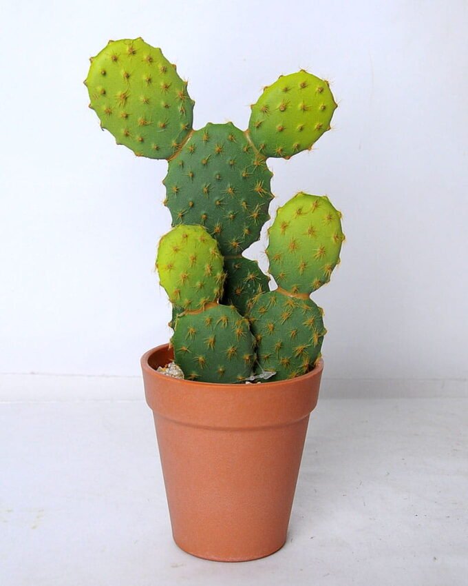 Artificial succulent 13*13*26 Artificial succulent 13*13*26.5cm cactus in plastic pot GS-45219098