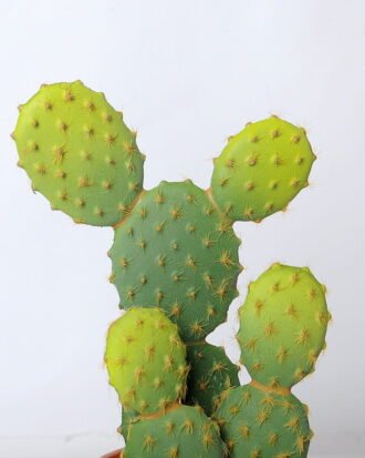Artificial succulent 13*13*26.5cm cactus in plastic pot GS-45219098