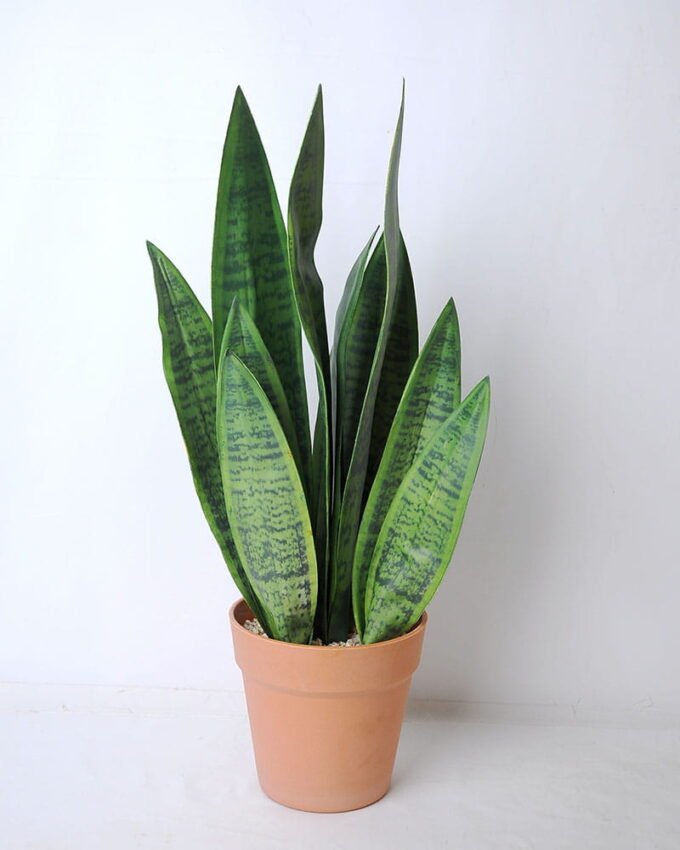 Artificial succulent 17*16*51cm tigridia in plastic pot GS-45219082 1 Artificial succulent 17*16*51cm tigridia in plastic pot GS-45219082