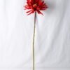 Artificial Flower 24*79CM Broad-Leaved Epiphyllum GS-14519049