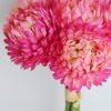 Artificial Flower 14*24CM Chrysanthemum Bush*6 GS-14519032-P2