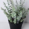 Artificial Flower 29*30*36CM Eucalyptus In Plastic Pot GS-52719090