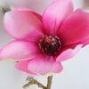 Artificial Flower 16*36CM Magnolia spray GS-14519008-R2